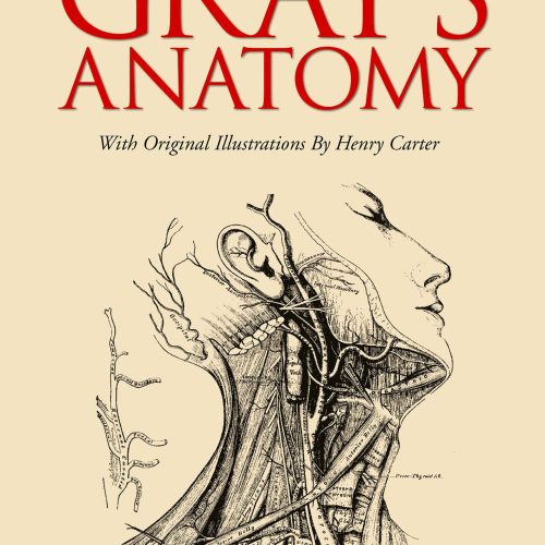 Gray's Anatomy