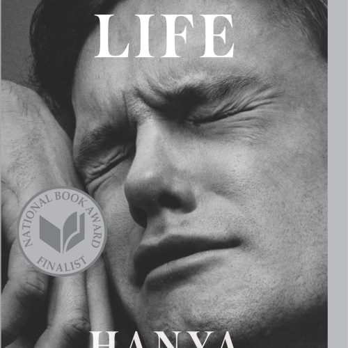 A Little Life: A Novel