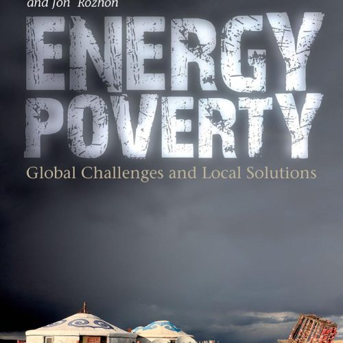 Energy Poverty: Global Challenges and Local Solutions