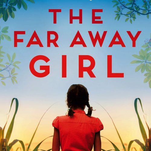 The Far Away Girl : A heartbreaking and gripping novel of tragedy and secrets