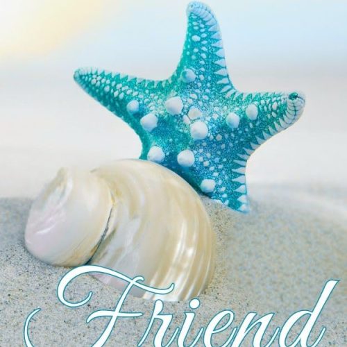 Friend: Book one in the Birla Brothers Saga