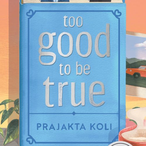 Too Good To Be True: A funny, smart will-they-won't-they romance by MostlySane