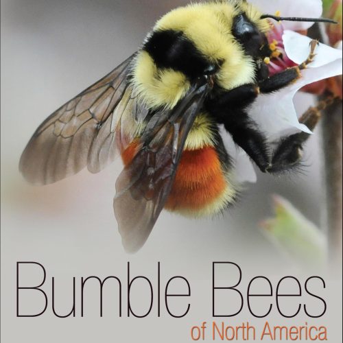 Bumble Bees of North America: An Identification Guide (Princeton Field Guides Book 87)