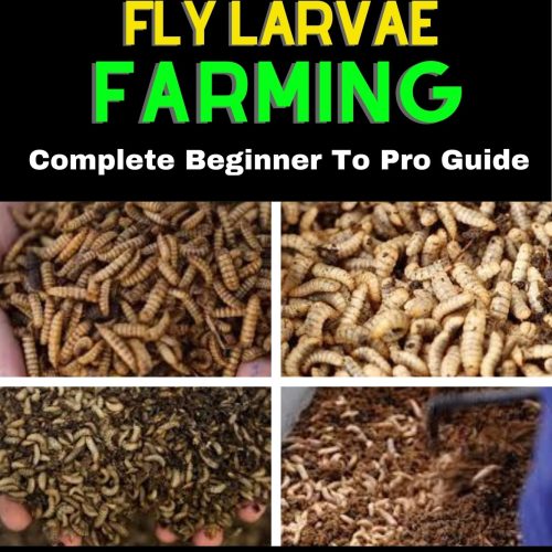 BLACK SOLDIER FLY LARVAE FARMING: Complete Beginner To Pro Guide: Strategic Practical Handbook For Owners On How To Raise Black Soldier Fly Larvae Farming From Scratch