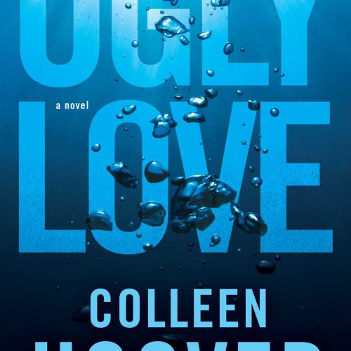 Ugly Love: A Novel