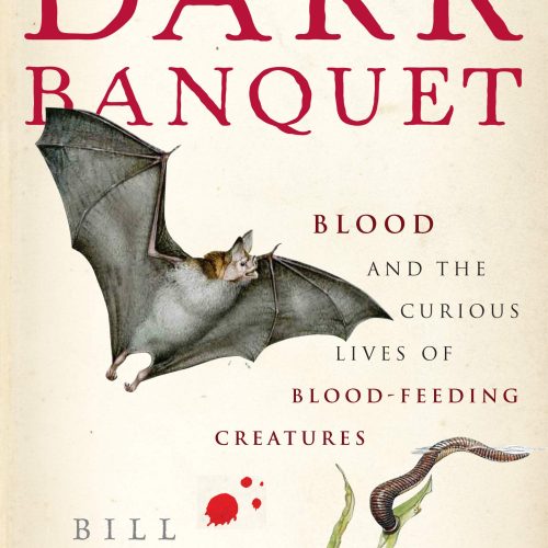 Dark Banquet: Blood and the Curious Lives of Blood-Feeding Creatures