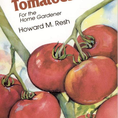 Hydroponic Tomatoes